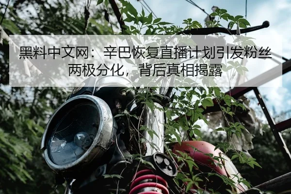 黑料中文网：辛巴恢复直播计划引发粉丝两极分化，背后真相揭露